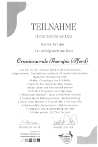 Carina Santjer – Pferdeosteopathie & Pferdephysiotherapie - Qualifikation