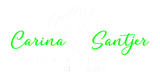 Carina Santjer – Pferdeosteopathie, -physiotherapie, -tierheilpraxis